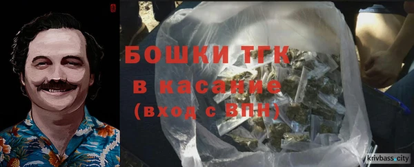 шишки Киренск