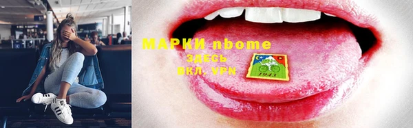 ГАЛЛЮЦИНОГЕННЫЕ ГРИБЫ Козловка