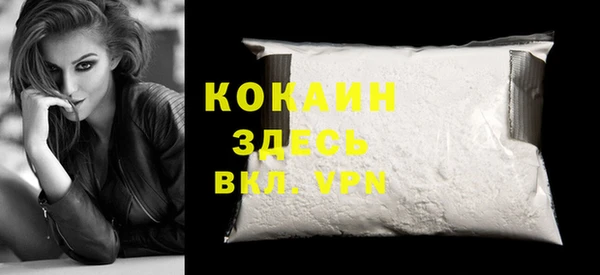 шишки Киренск