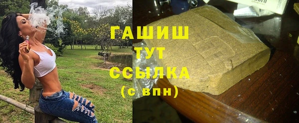 шишки Киренск