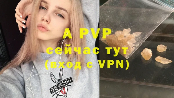 шишки Киренск