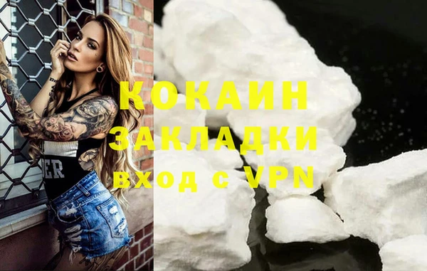 ГАЛЛЮЦИНОГЕННЫЕ ГРИБЫ Козловка