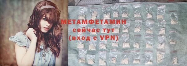ГАЛЛЮЦИНОГЕННЫЕ ГРИБЫ Козловка