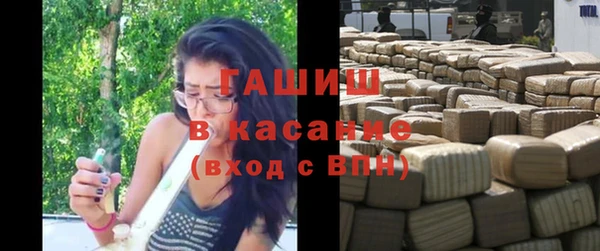 ГАЛЛЮЦИНОГЕННЫЕ ГРИБЫ Козловка
