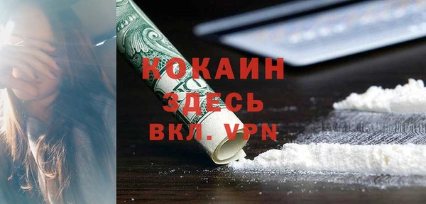 шишки Киренск