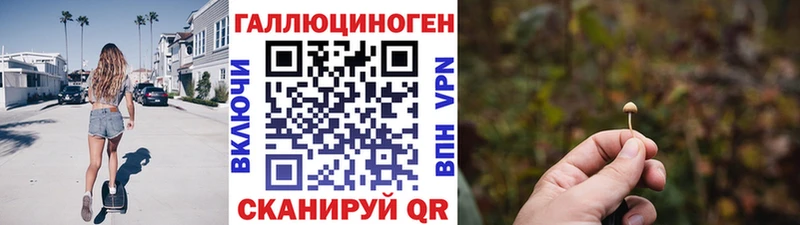 Псилоцибиновые грибы Psilocybine cubensis Горняк